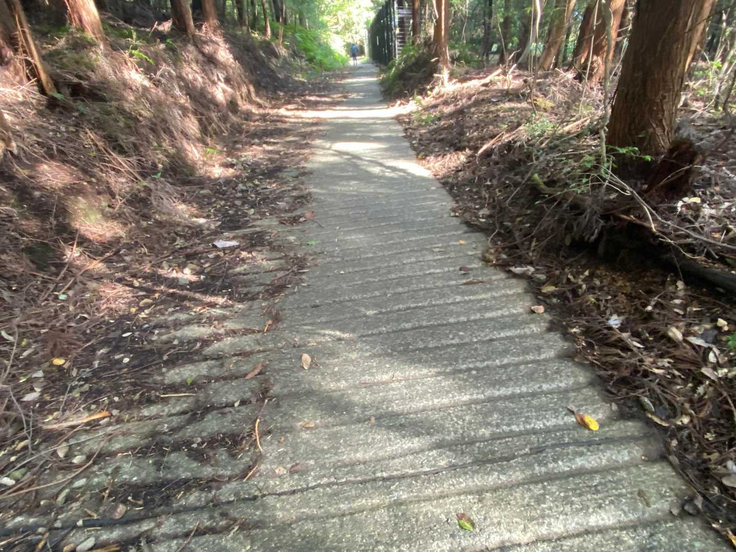 コンクリートの道はイヤ😅