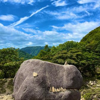 ゴジラ岩に寄りました🦖
