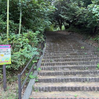 道向かいにも同じような階段があり、こっちでした