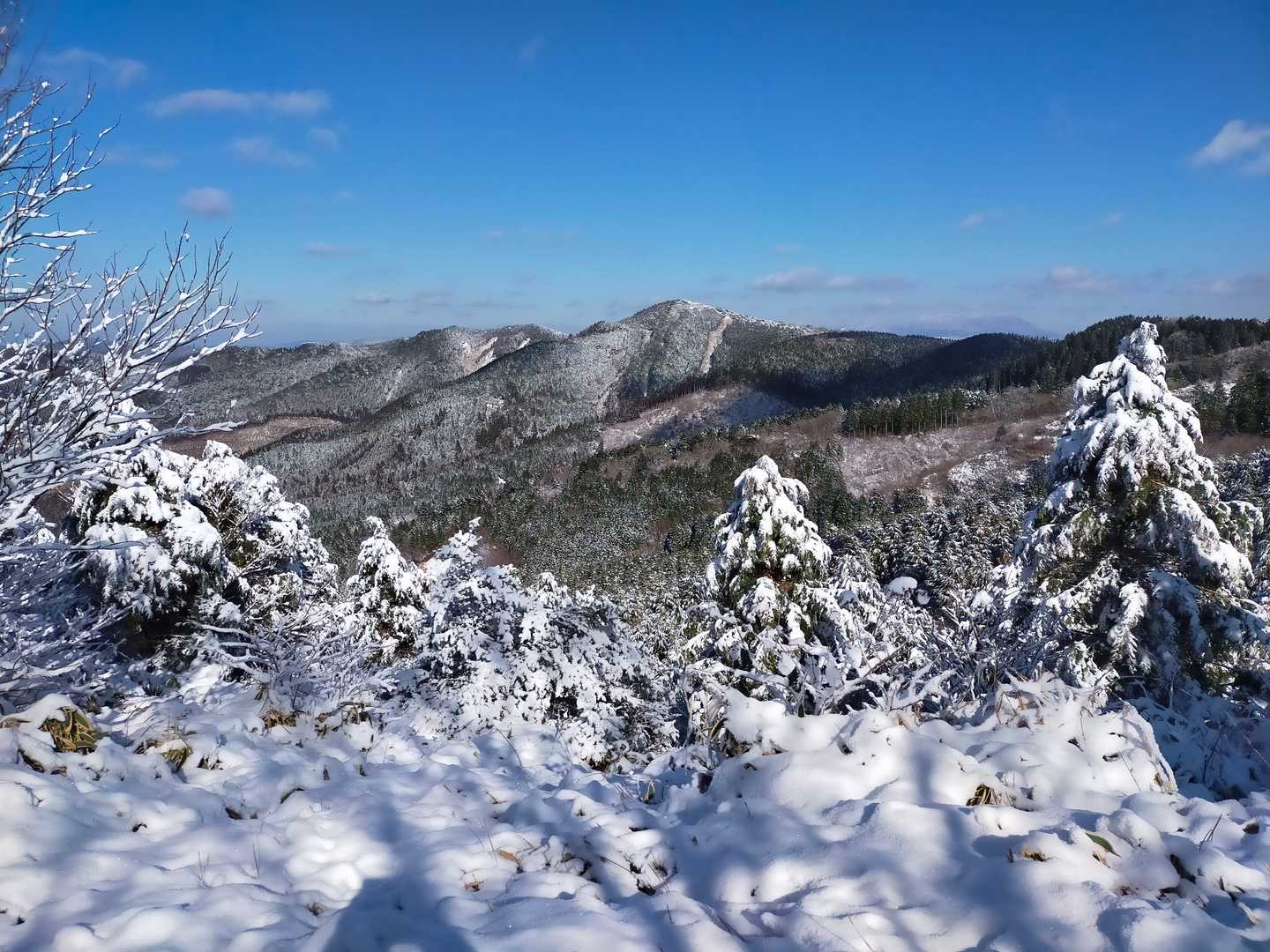 ツームシ山(標高1010ｍ付近の稜線上から)