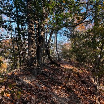 28　吉本山　223.2m
No.31