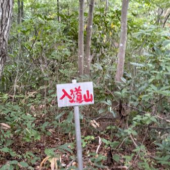 だいぶ降ってから結構登らされた
しんどい