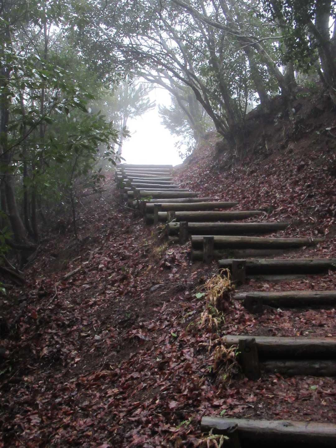 旅伏山登山口-旅伏峰 往復コースの写真