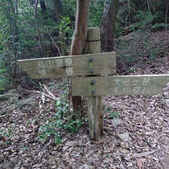 丸山湿原に向かいます