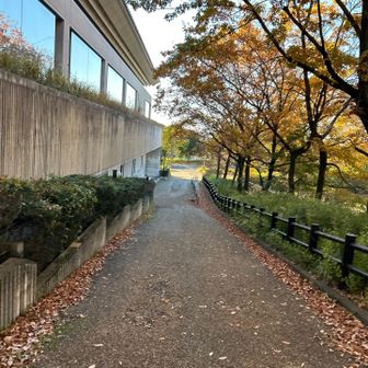 ここ抜けれたのか、前反対から来た時戻っちゃったな