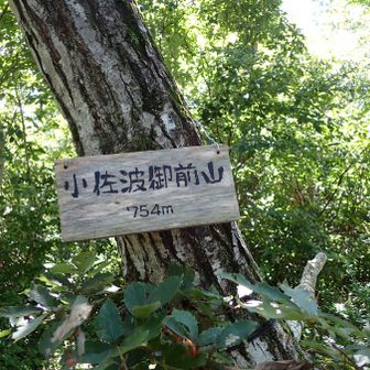 即、下山しました！