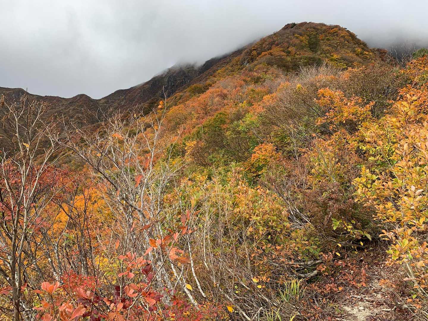 どんどん紅葉🍁の登山道を進む