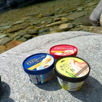 今回もアイス持ってきました