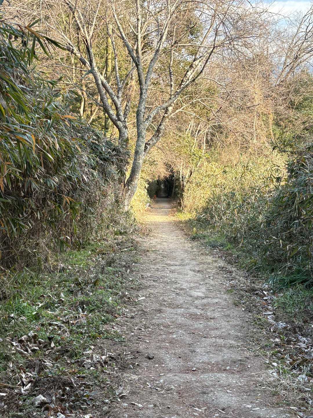 ずっと真っ直ぐな道