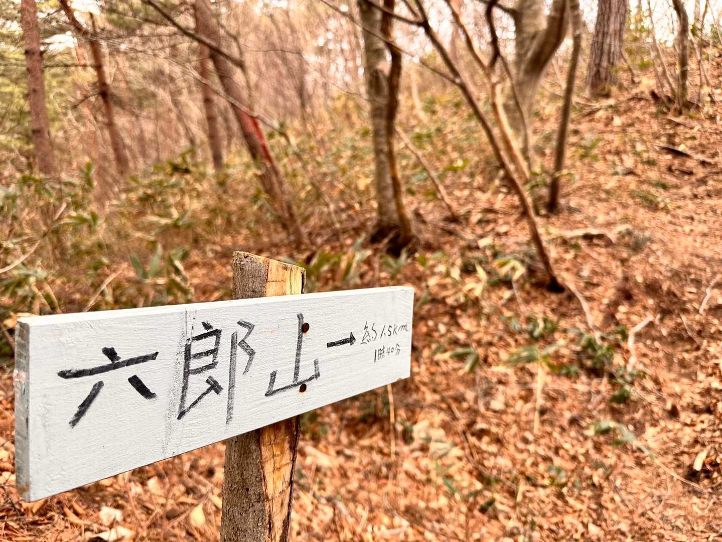 万寿山-権現山 周回コースの写真