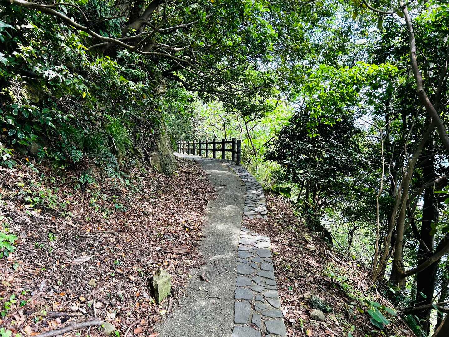 賀嶋公園まではしっかりした遊歩道が整備されてます。安心安心😊
