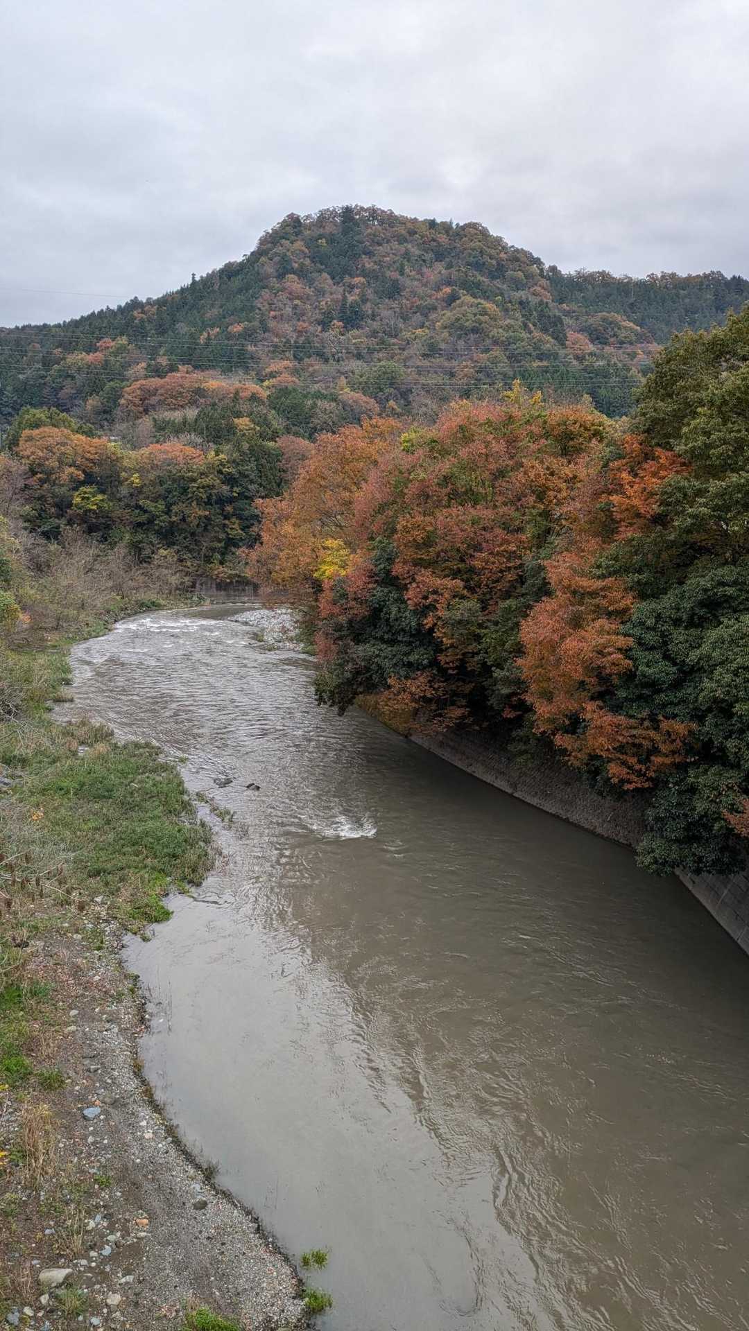 桂川