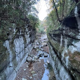 屏風岩とやらに寄りました、たぶんコレのこと！