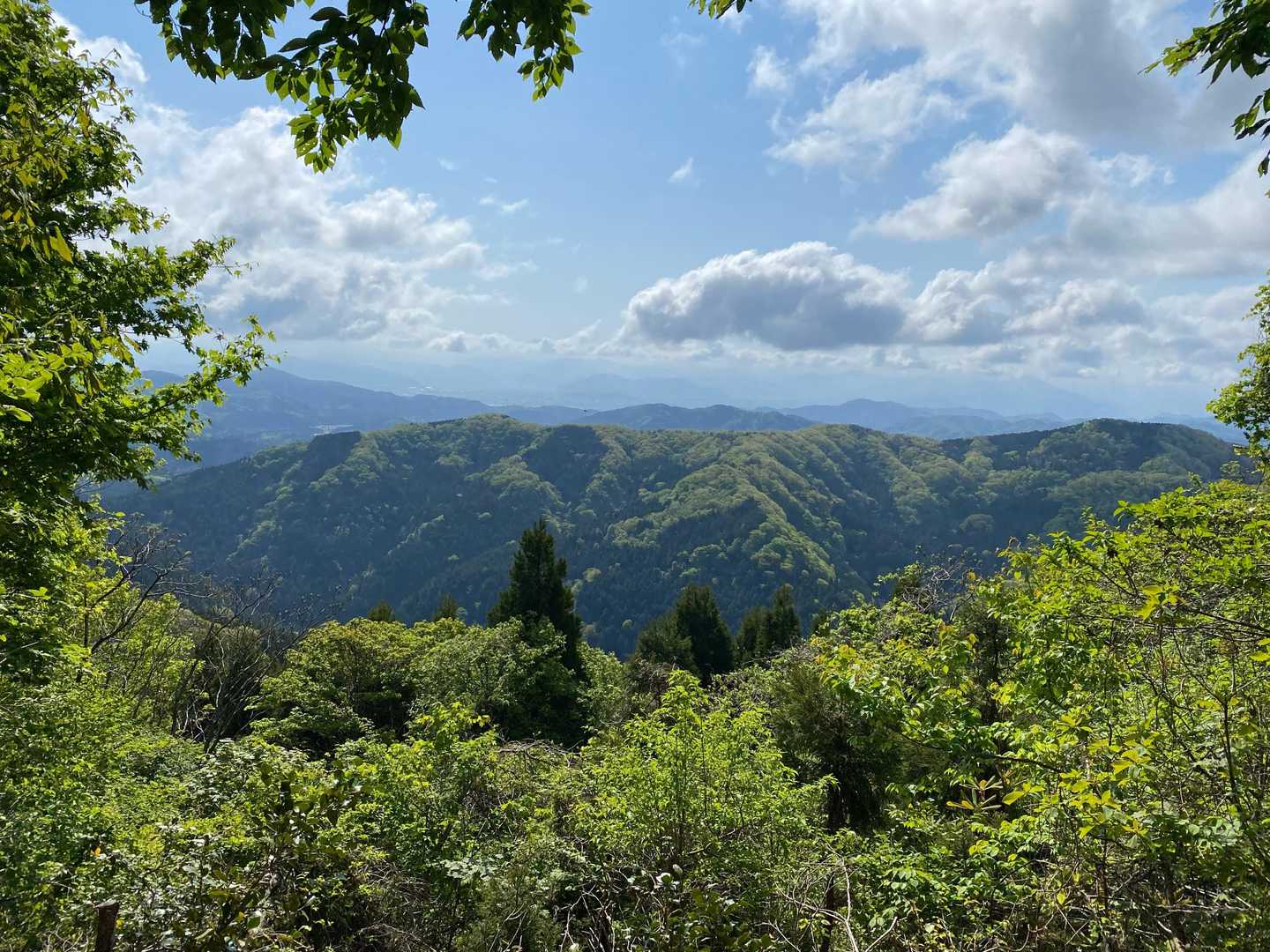 ここは展望いいです