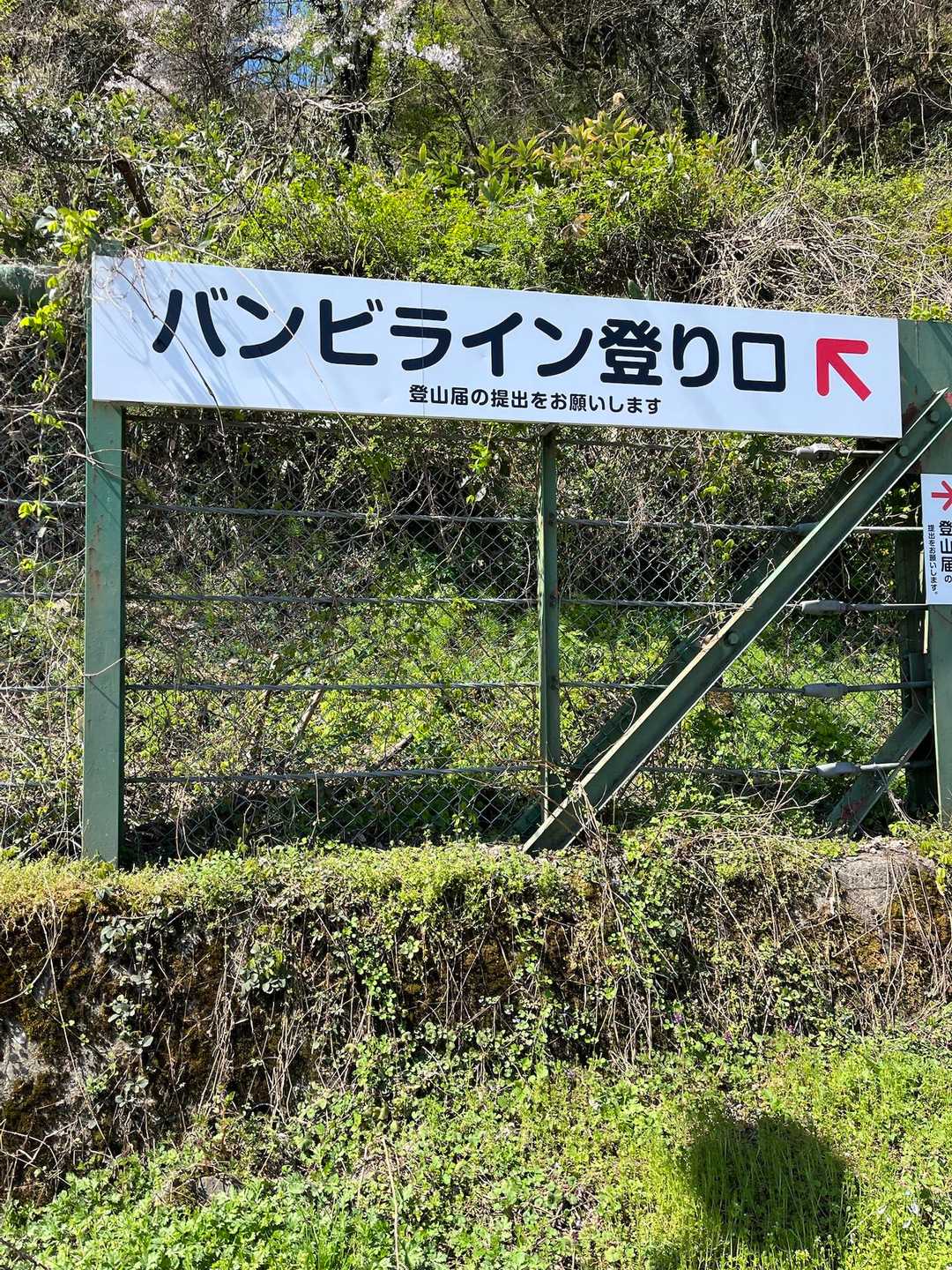 駐車場🅿️目の前がバンビライン登り口