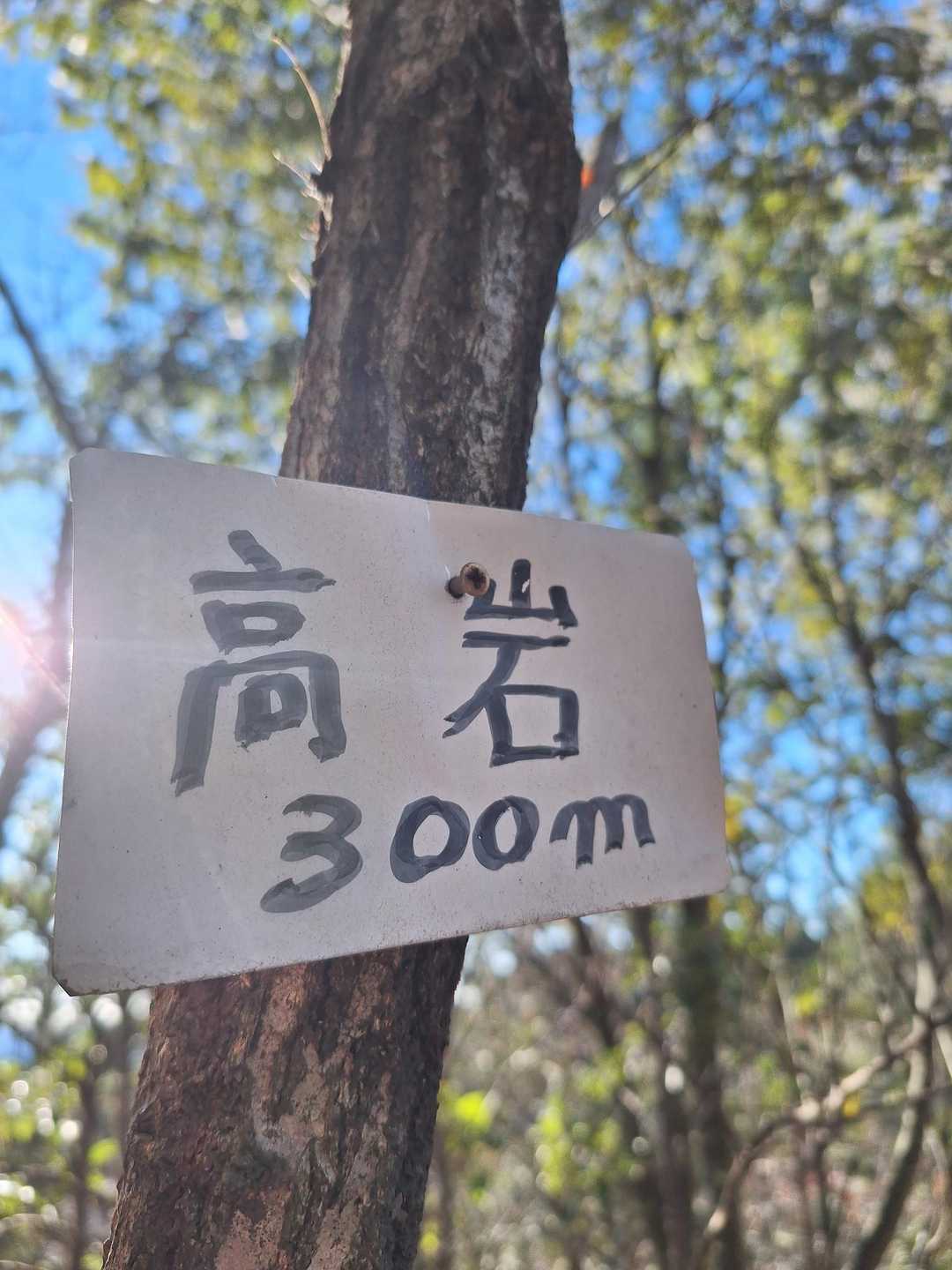 山頂　山名札📛眺望無し