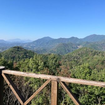 扇山方面。
権現山はまた再訪したい。