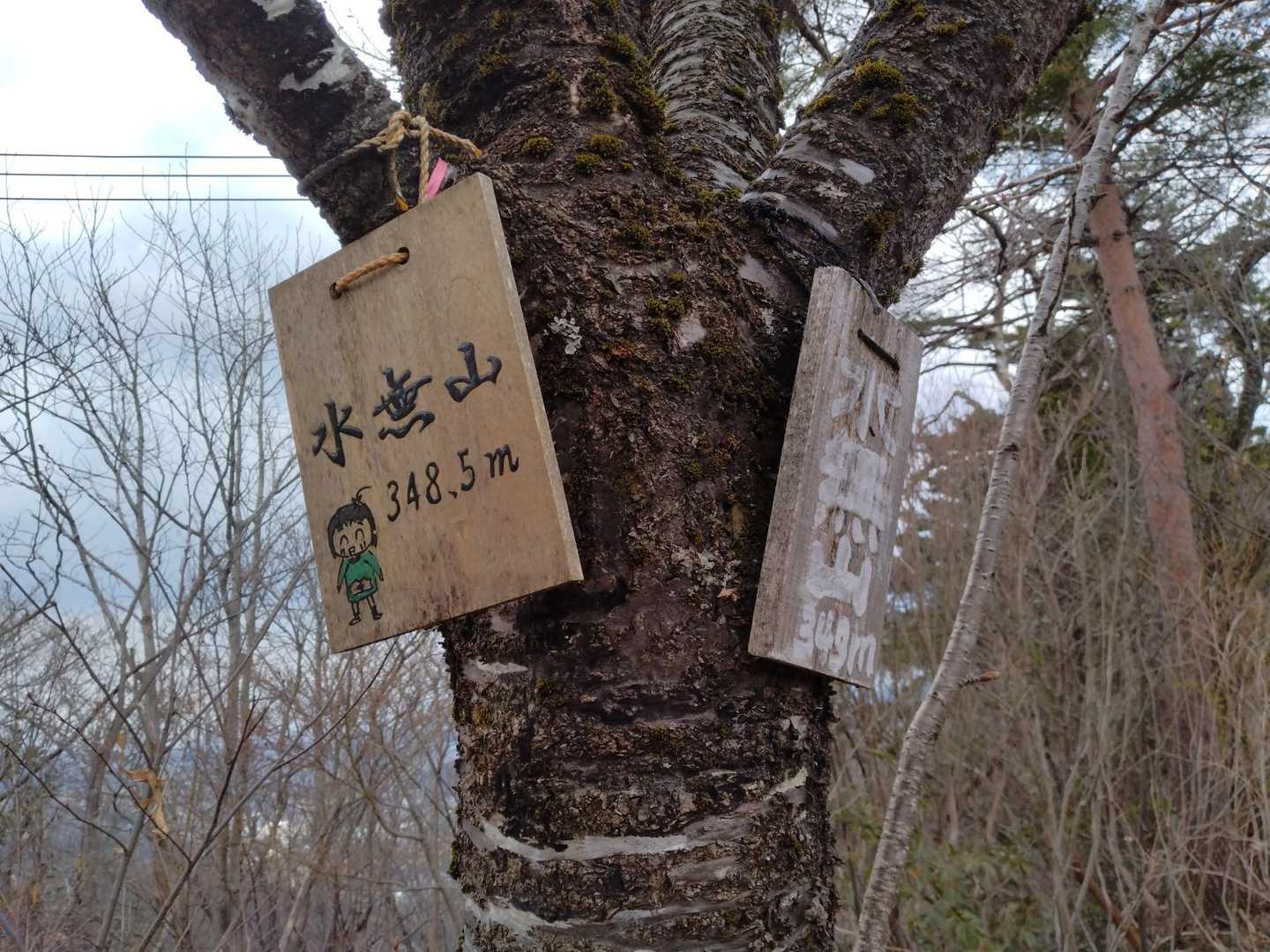 水無山 往復コースの写真