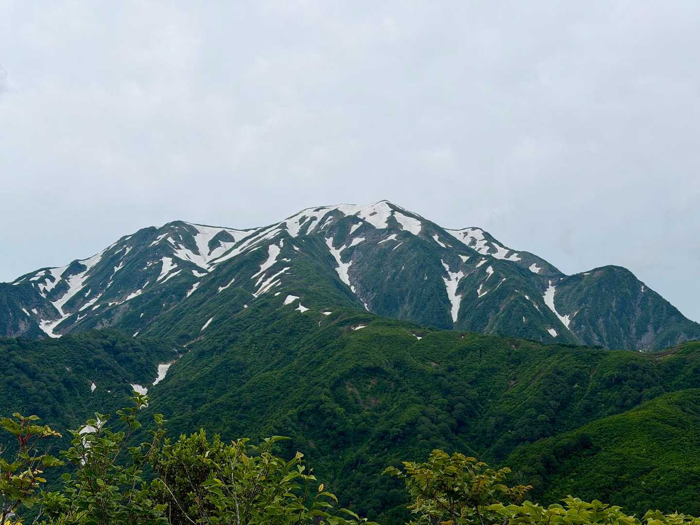 石抱橋バス停-道行山-百草ノ池-越後駒ヶ岳 往復コースの写真