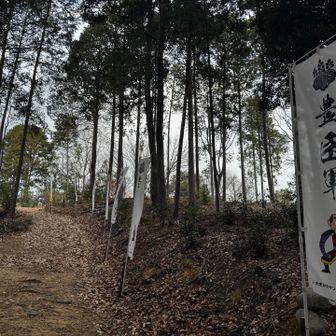 お社の裏側を登ると