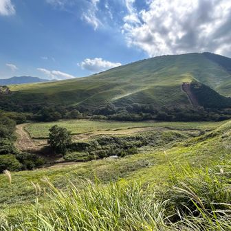 扇山も同じく(o´罒`o)
まだお昼過ぎやに
夕方を感じる陽射し