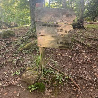 瑞牆山駐車場から登山開始
