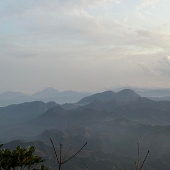 由布岳
今日は暑かったから霧氷溶けたかな
