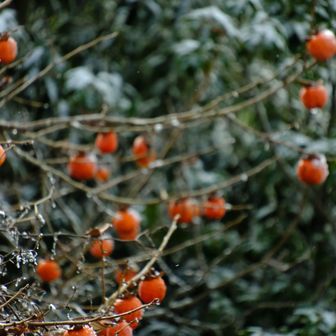 水も滴るいい..
