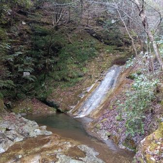 五郎在壺(ｺﾞﾛｳｻﾞﾂﾎﾞ)✨
