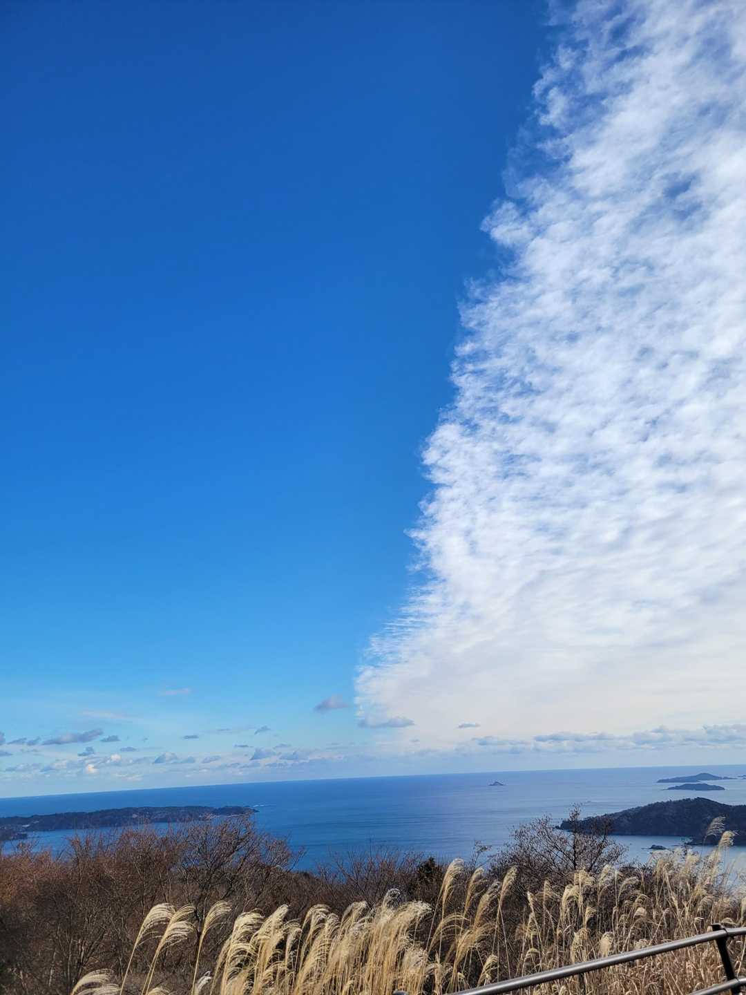 大六天山 往復コースの写真
