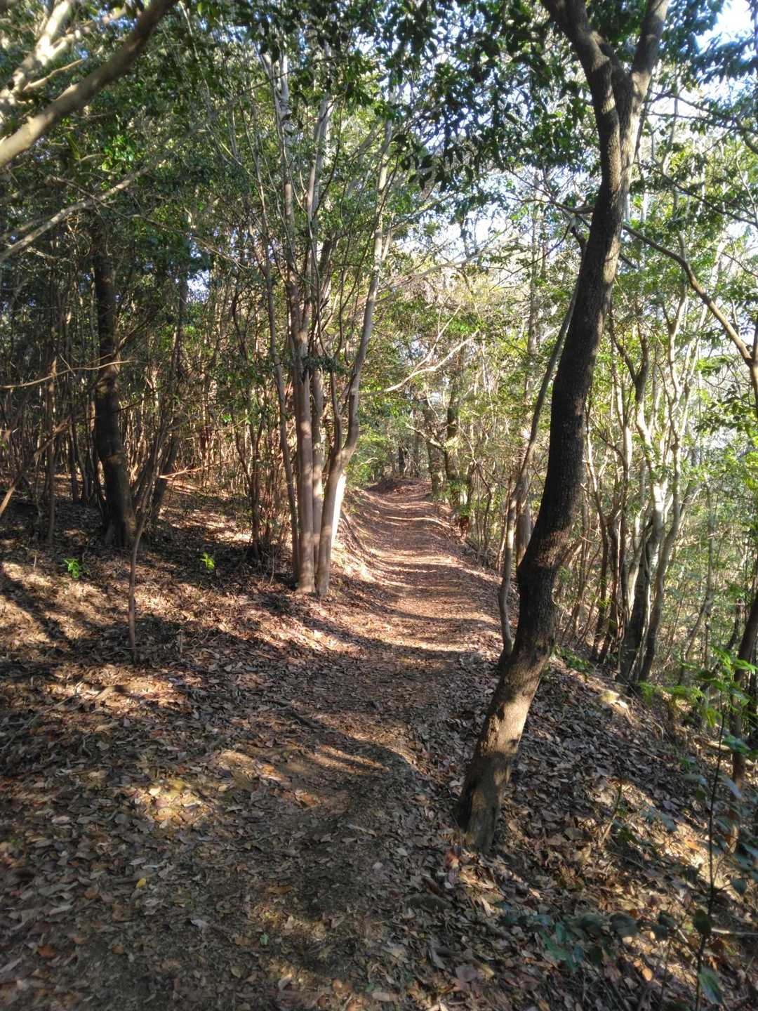 観音岳へ
