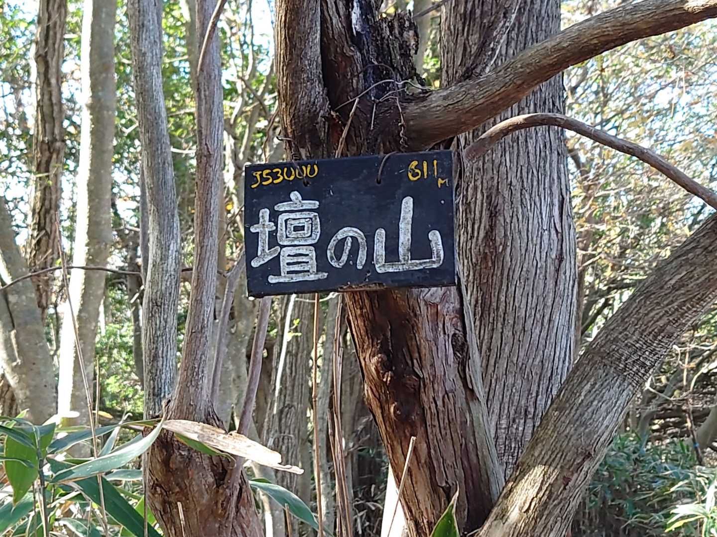 壇の山山頂🚩に着きましたよ😄🙆   標高610mです。
今まで何回かアタックしたがこの山頂へは来れなかったが､ しばらく冷却期間を置いたら今日は案外スムーズに登れました🤗