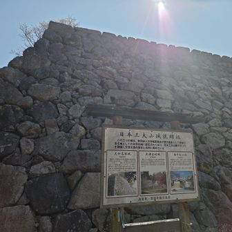 今も残るたくさんの石垣…壮大な景色です