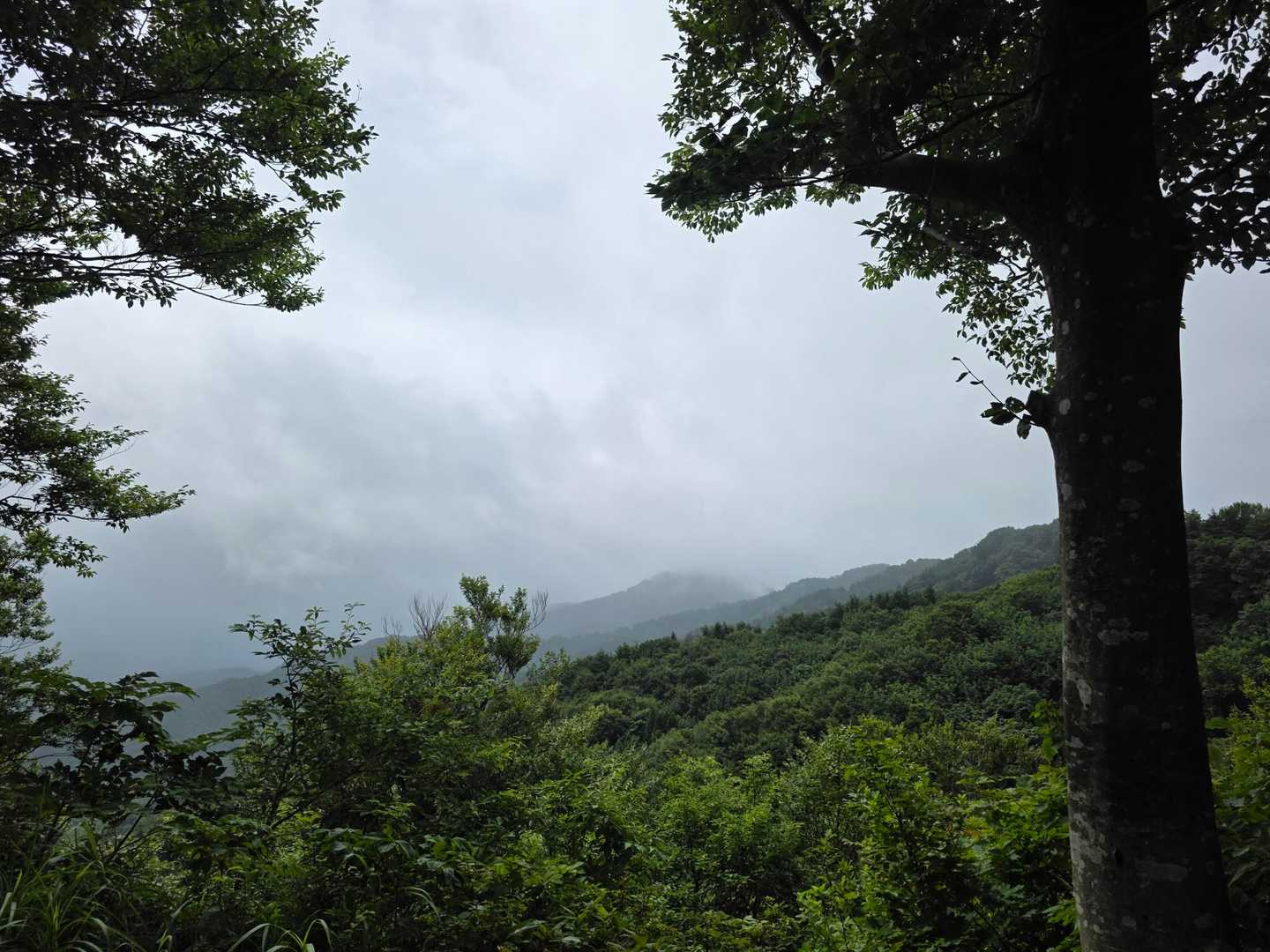 向こうが母狩山かしら...🤔