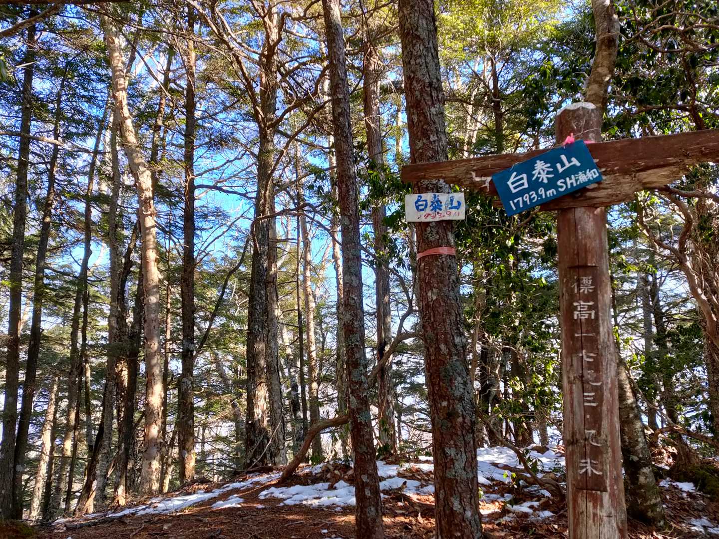 来たよ白泰山。こんなに美しい場所だったんだね