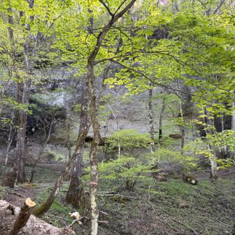 砂岩の壁がある