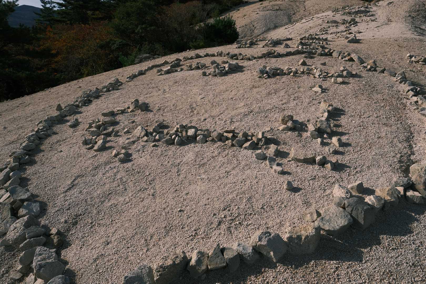 朝明登山口-釈迦ヶ岳最高点-釈迦ヶ岳-猫岳-羽鳥峰-金山- 周回コースの写真