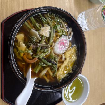 山菜うどん。つゆもおいしい。