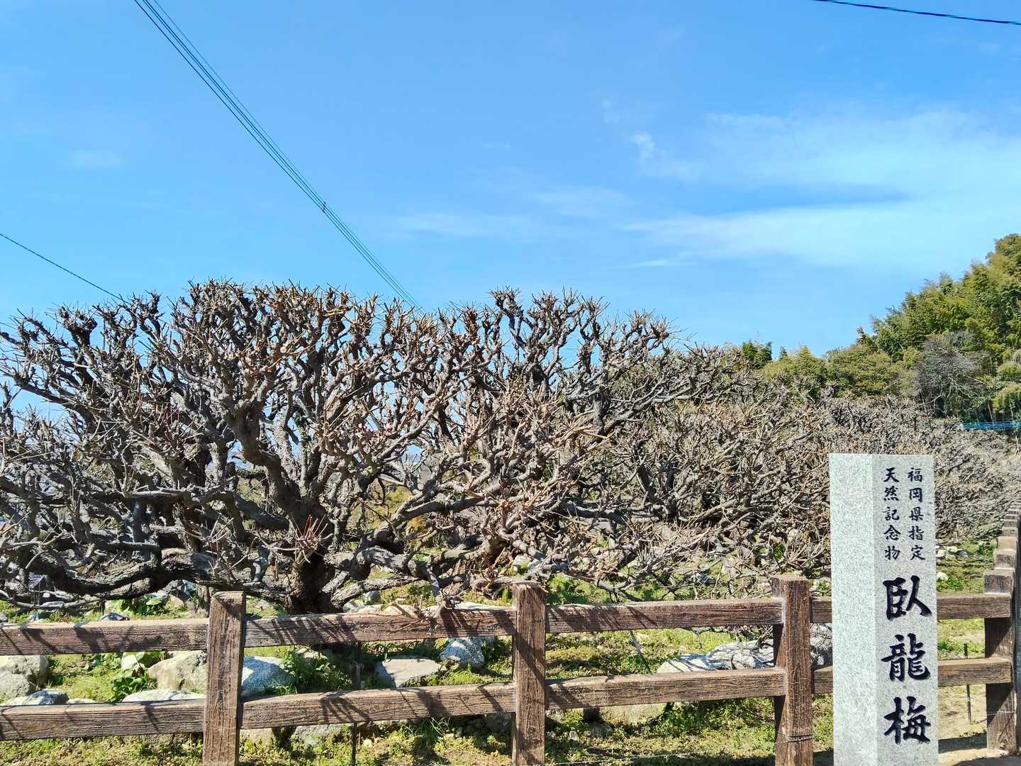 三池山 周回コースの写真