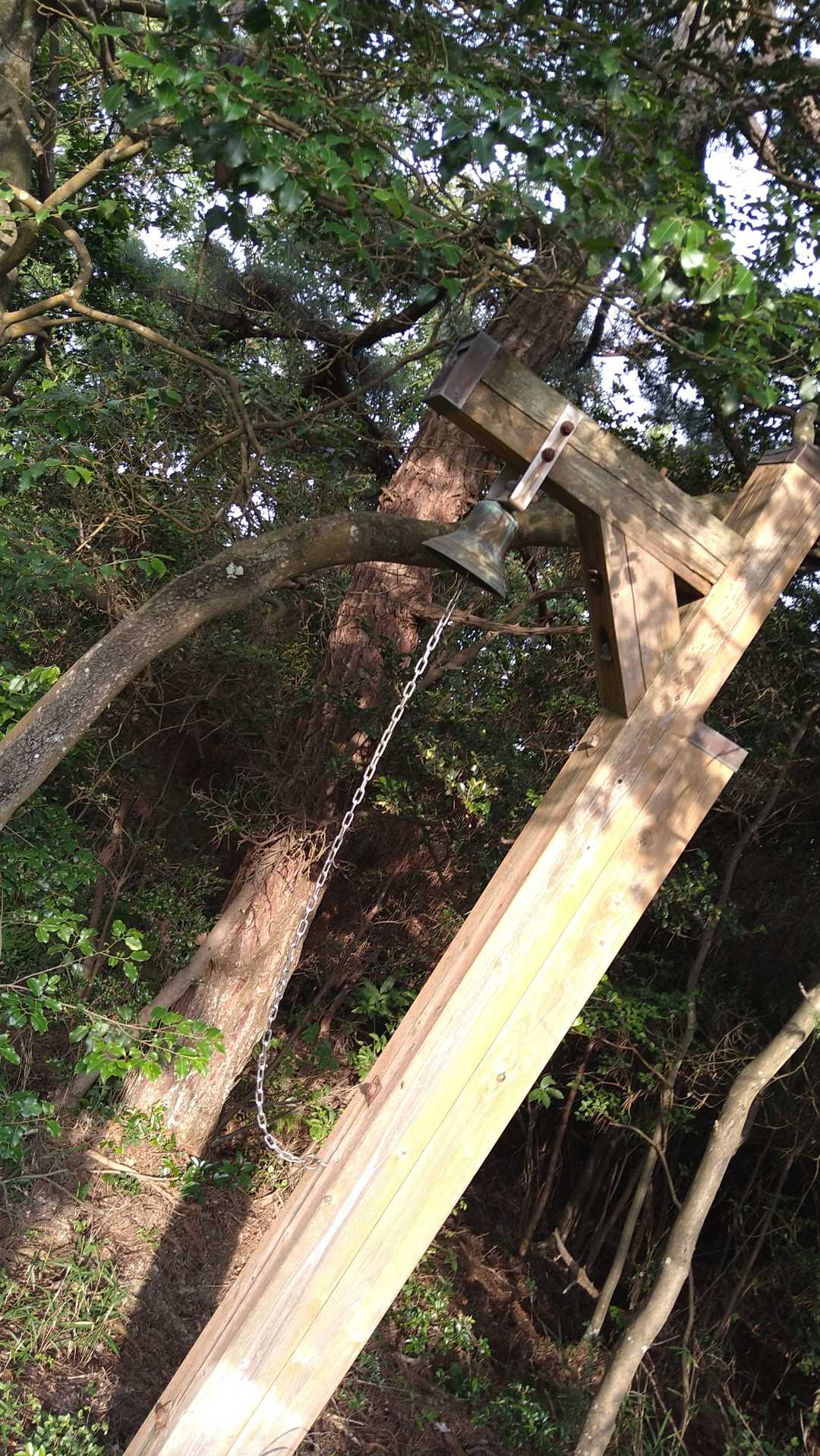 ここにも🔔。