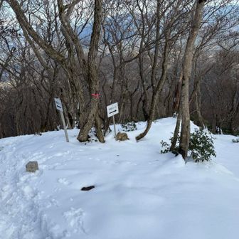 大岩コースはノートレース