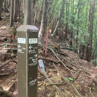 法力峠に到着
母公堂方面に下山します。