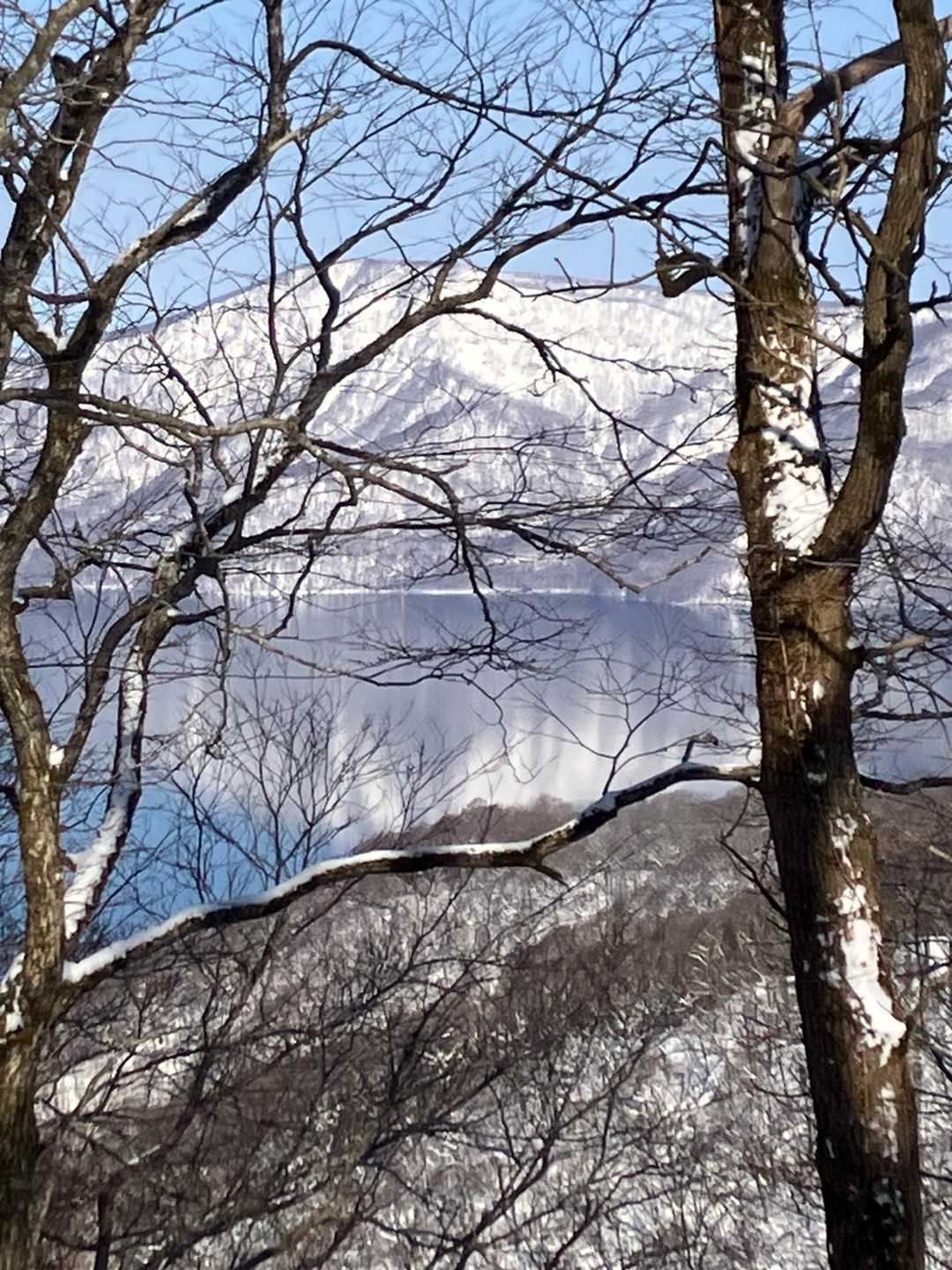 十和田山 往復コースの写真