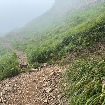 この分岐は右➡️
左⬅️は、大変でした