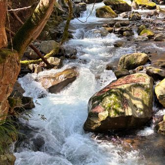 豪快な雪解け水💦