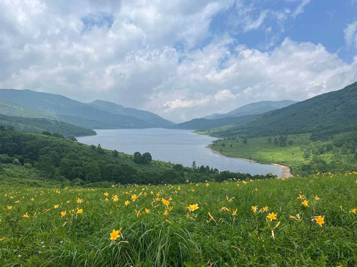 富士見峠-イカイワの頭-八間山 周回コースの写真