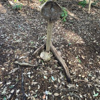 尾立山頂上です