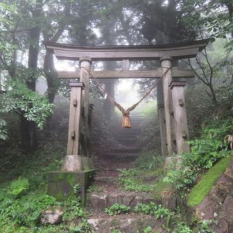 鳥居をくぐって...⛩️