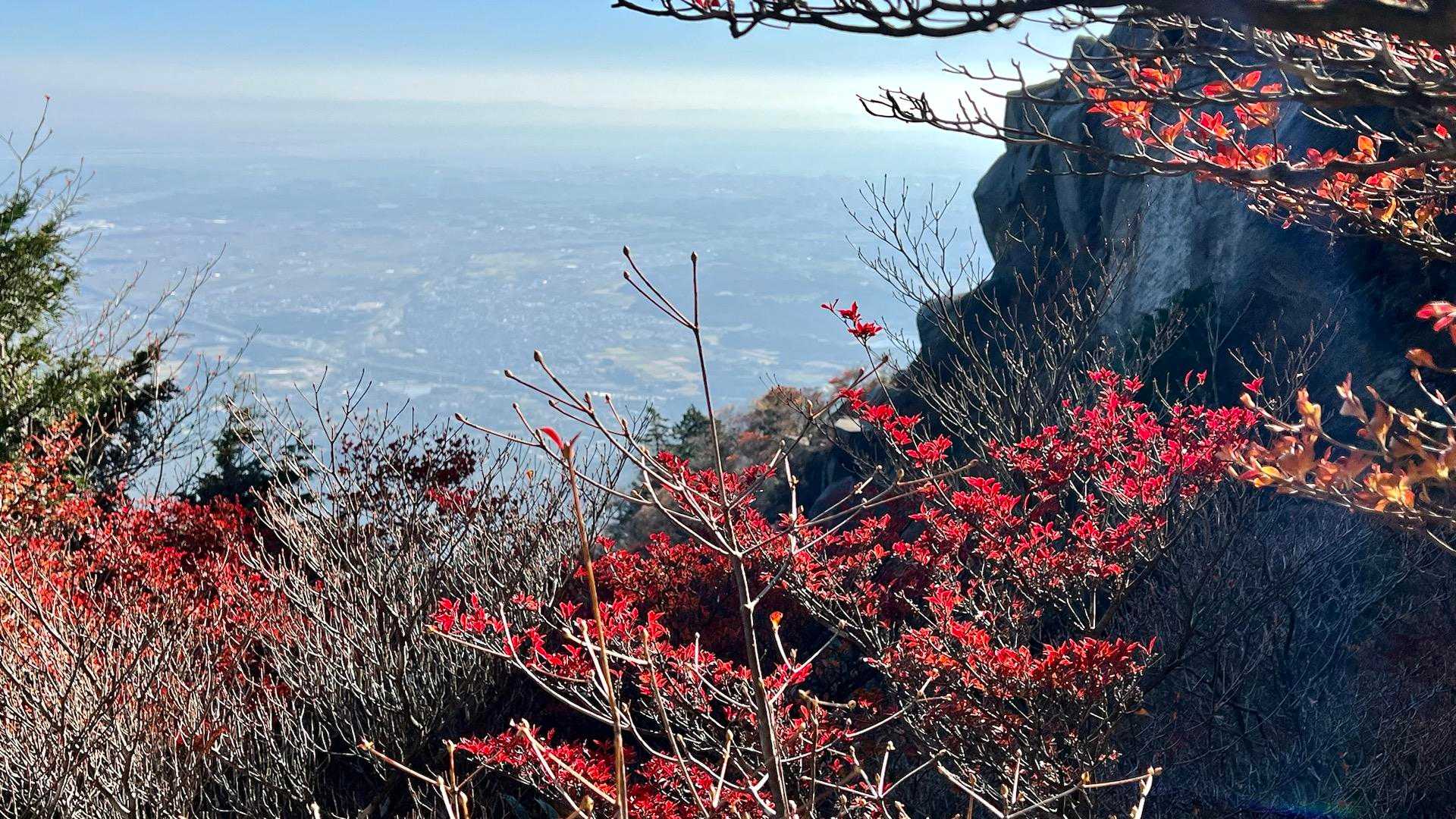 紅葉🍁も綺麗だね