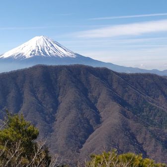 もちろん富士山も！
黒岳を経由し手前に見える尾根を歩きます